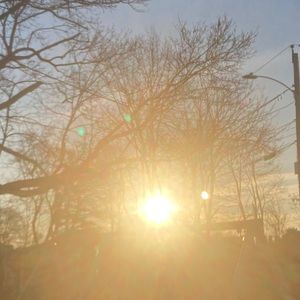 Meet your Posher, Cynthia